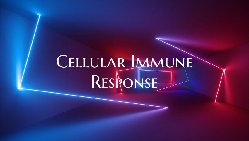 Cellular Immune Response