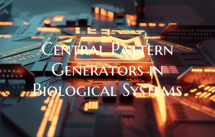 Central Pattern Generators in Biological Systems