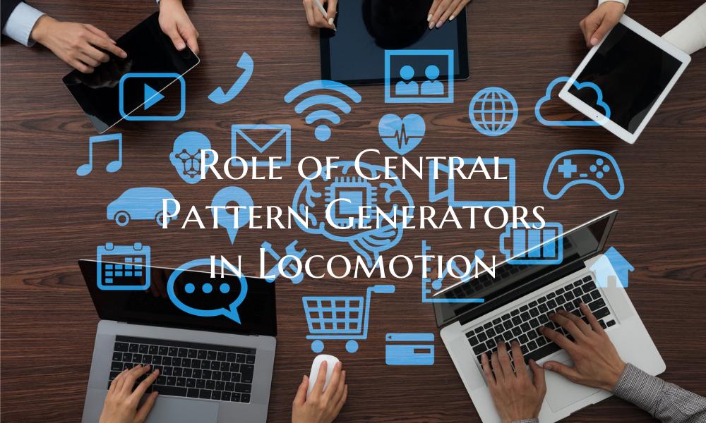 Role of Central Pattern Generators in Locomotion